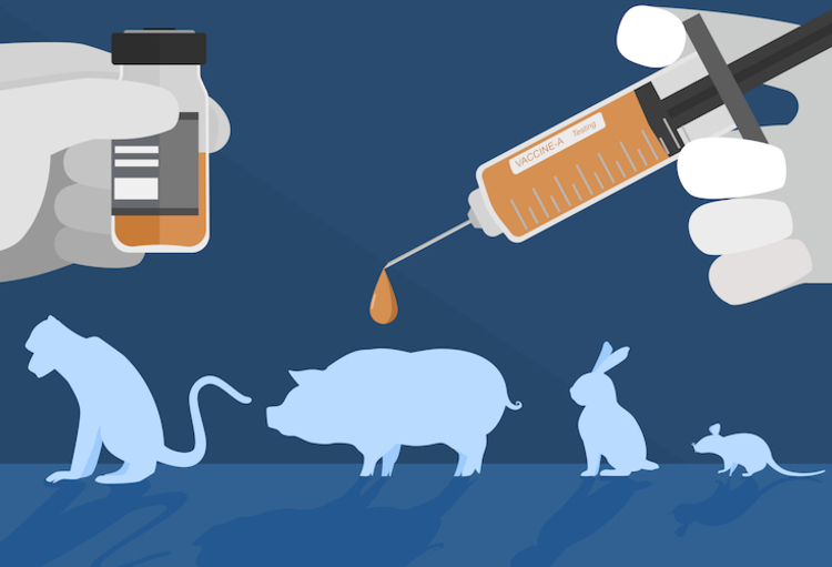 La sperimentazione animale tra etica e compromessi