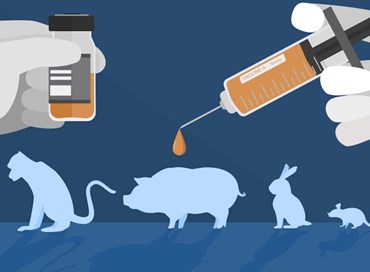 La sperimentazione animale tra etica e compromessi