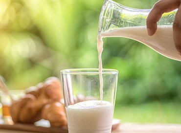 Latte a due euro al litro: il grido di allarme