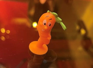 Appesi a una carota