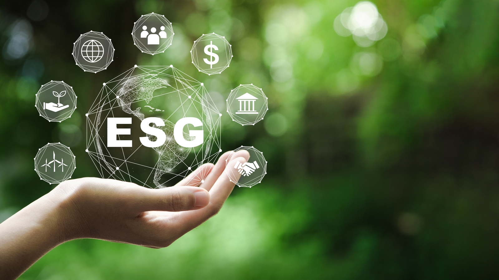 Investire nella sostenibilità: il significato di Esg