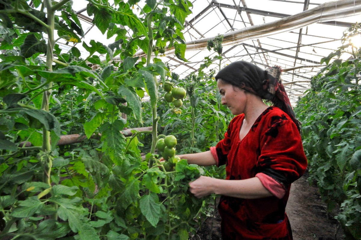 L’Uzbekistan, l’agricoltura innovativa e i giovani al World Food Forum