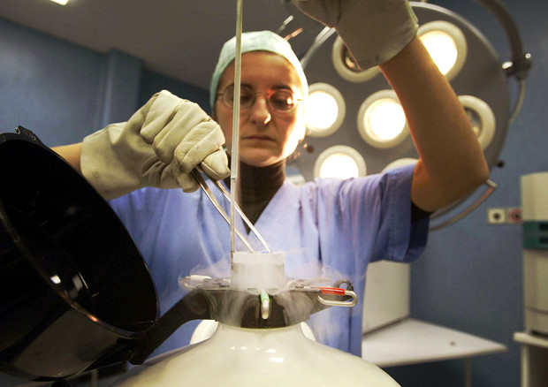 Il caso israeliano della genitorialità indefinibile