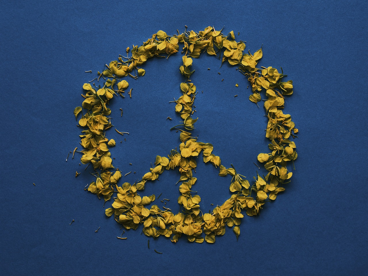 Il pacifismo che non cambia