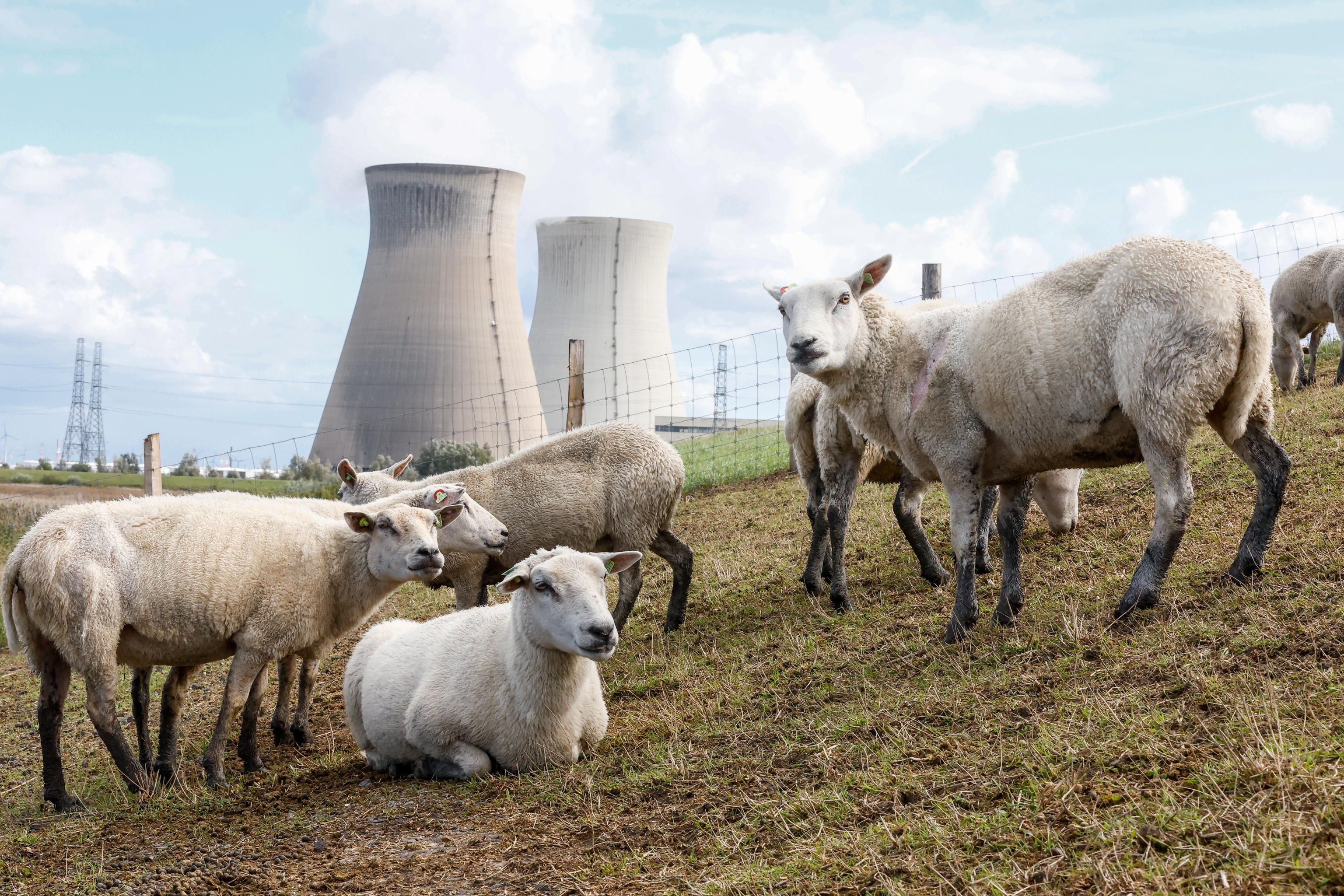 Energia nucleare? Sì, prego!