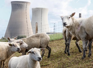 Energia nucleare? Sì, prego!