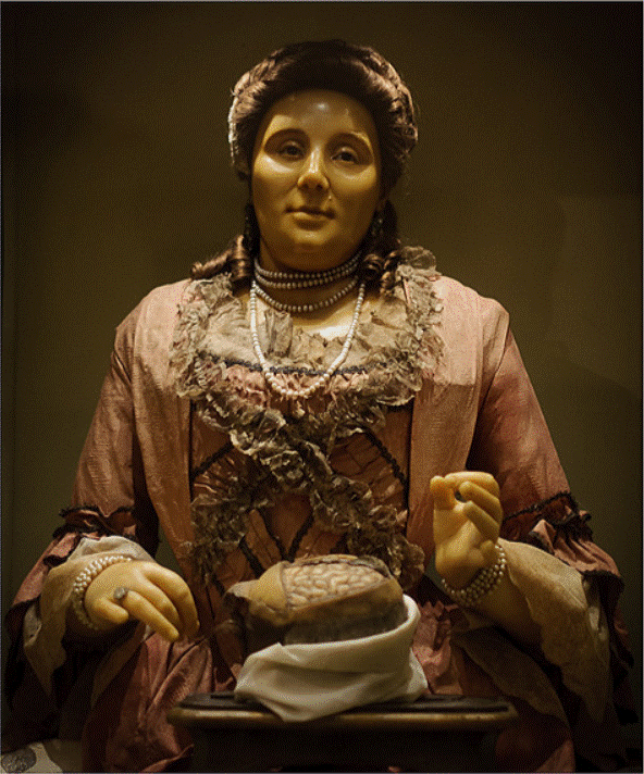 Anna Morandi Manzolini: l’arte della scienza