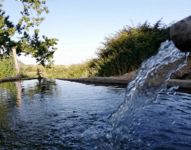 Terra, acqua, individui e società