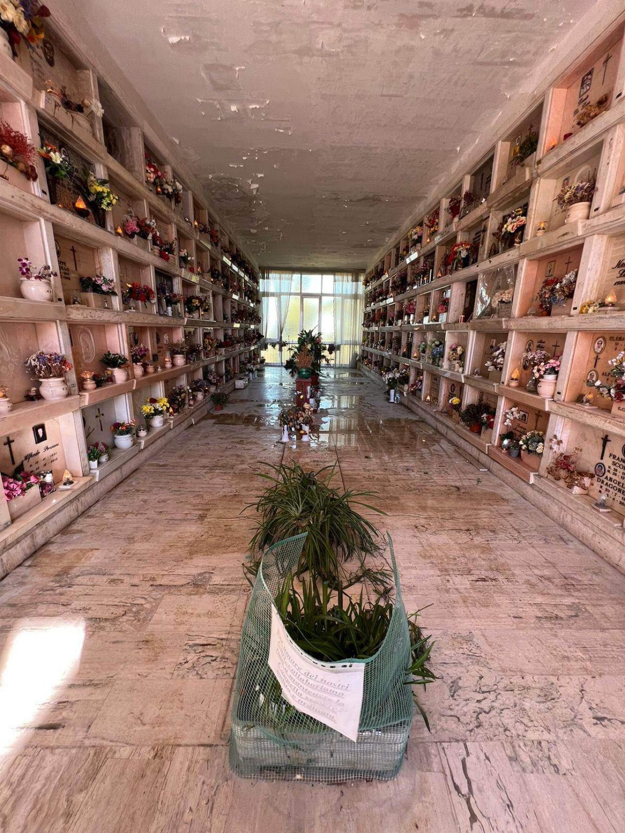 Roma, cimiteri nel degrado