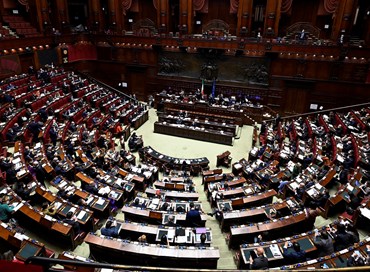 Falchi e avvoltoi