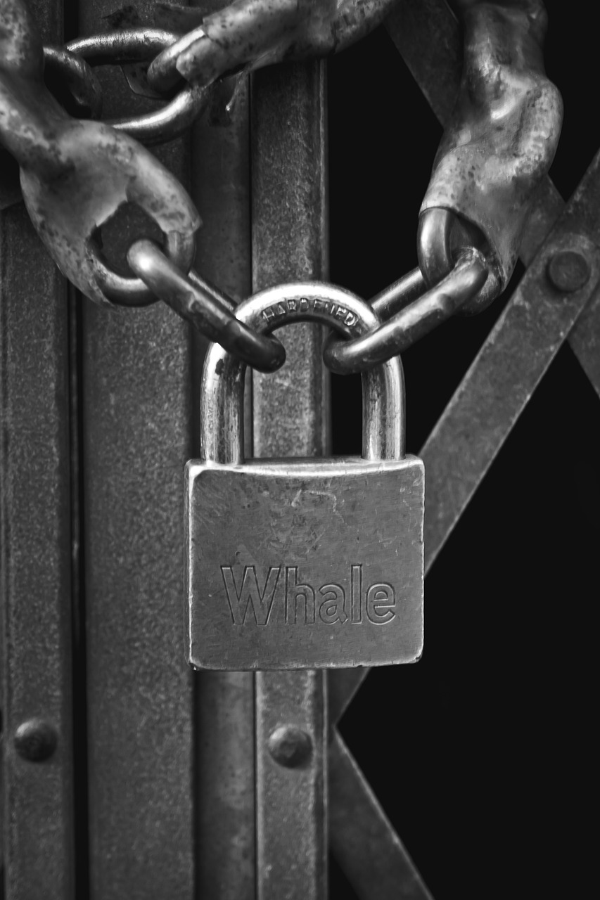 Occupazioni, Santori: “Multe non pagate e abusivi in casa”