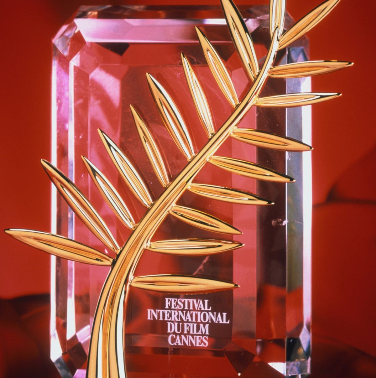 Cannes 2023, tre italiani in concorso: Bellocchio, Moretti e Rohrwacher