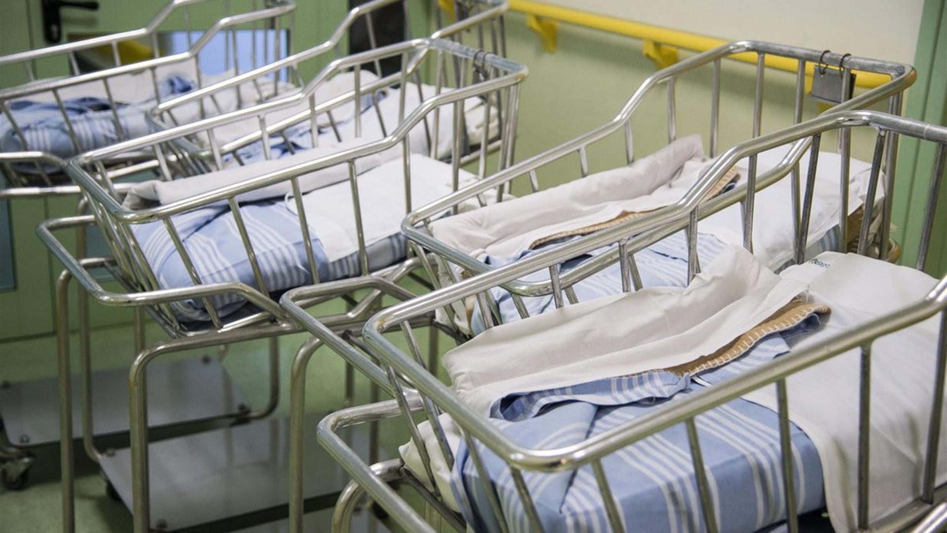 Natalità e stupidità (video)