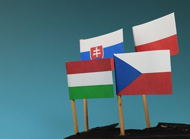 Cosa significa “sostituzione etnica”