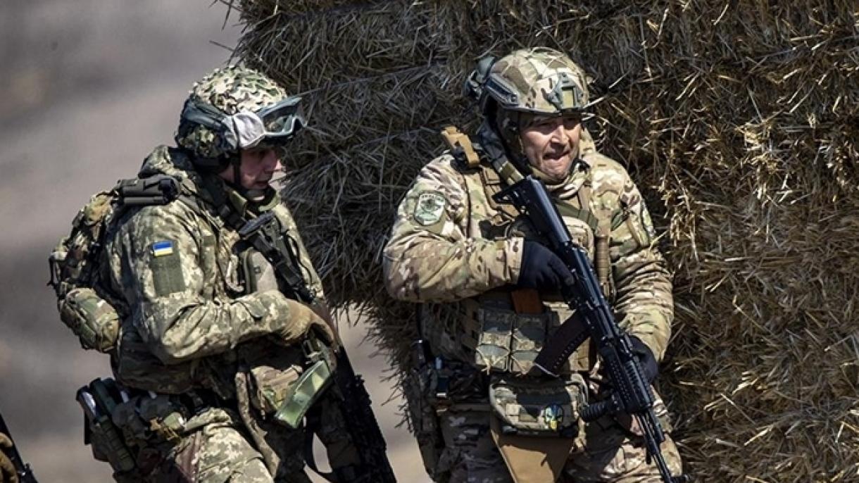 I paralipomeni dell’articolo 11 della Carta