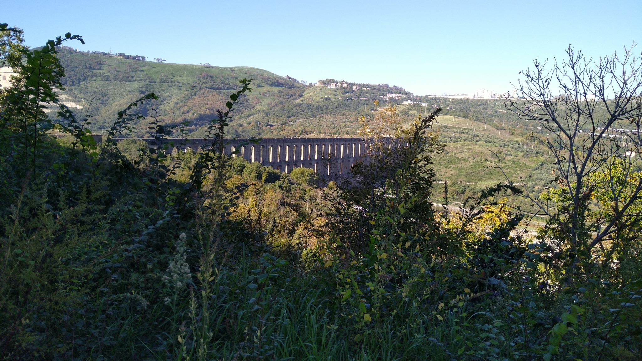 Consorzio dell’olio dei Monti Tifatini: certificazione su piattaforma blockchain