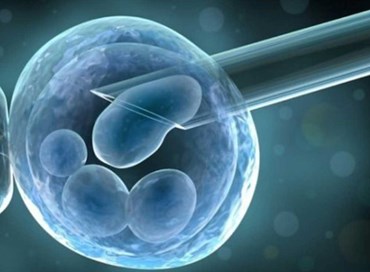 Stepchild Adoption, fecondazione eterologa e maternità surrogata