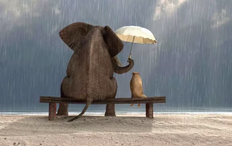 “Il Vocabolario della Felicità”: pillole di emozioni (video)