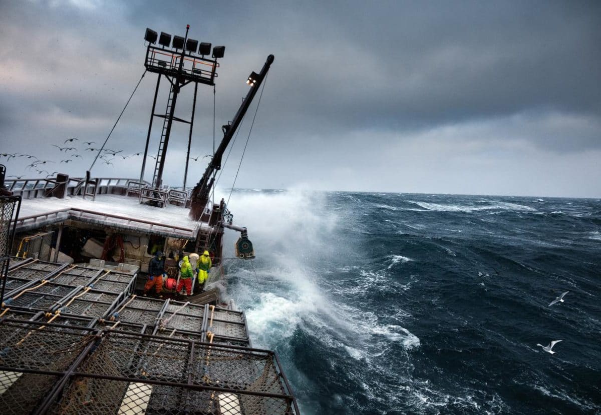 In Alaska la nuova stagione della pesca tra innovazione e sostenibilità