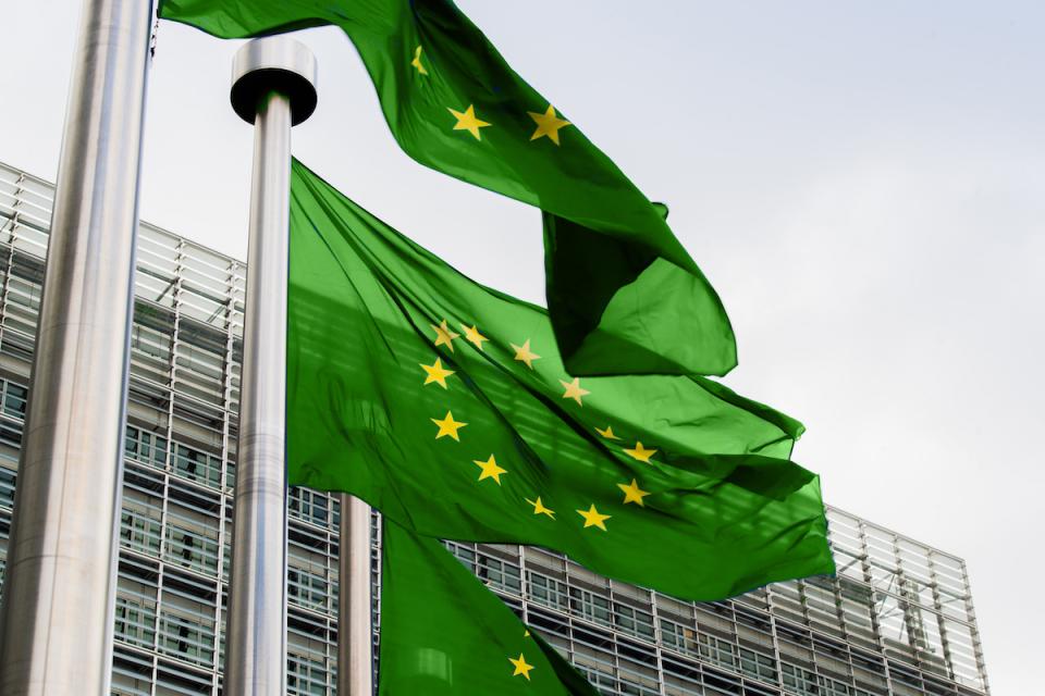 Il Green deal europeo non è politica ambientale ma (dannosa) politica industriale