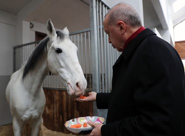 Erdoğan: il fantino del Palio di Siena che parte di rincorsa