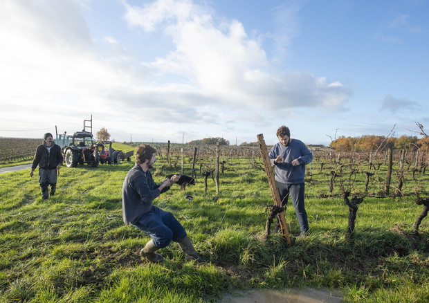 Una politica europea contro l’agricoltura