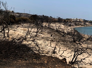 La Grecia brucia, Erdoğan si candida per gli aiuti