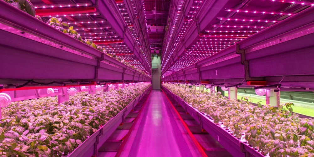 L’agricoltura del futuro a misura di smart city