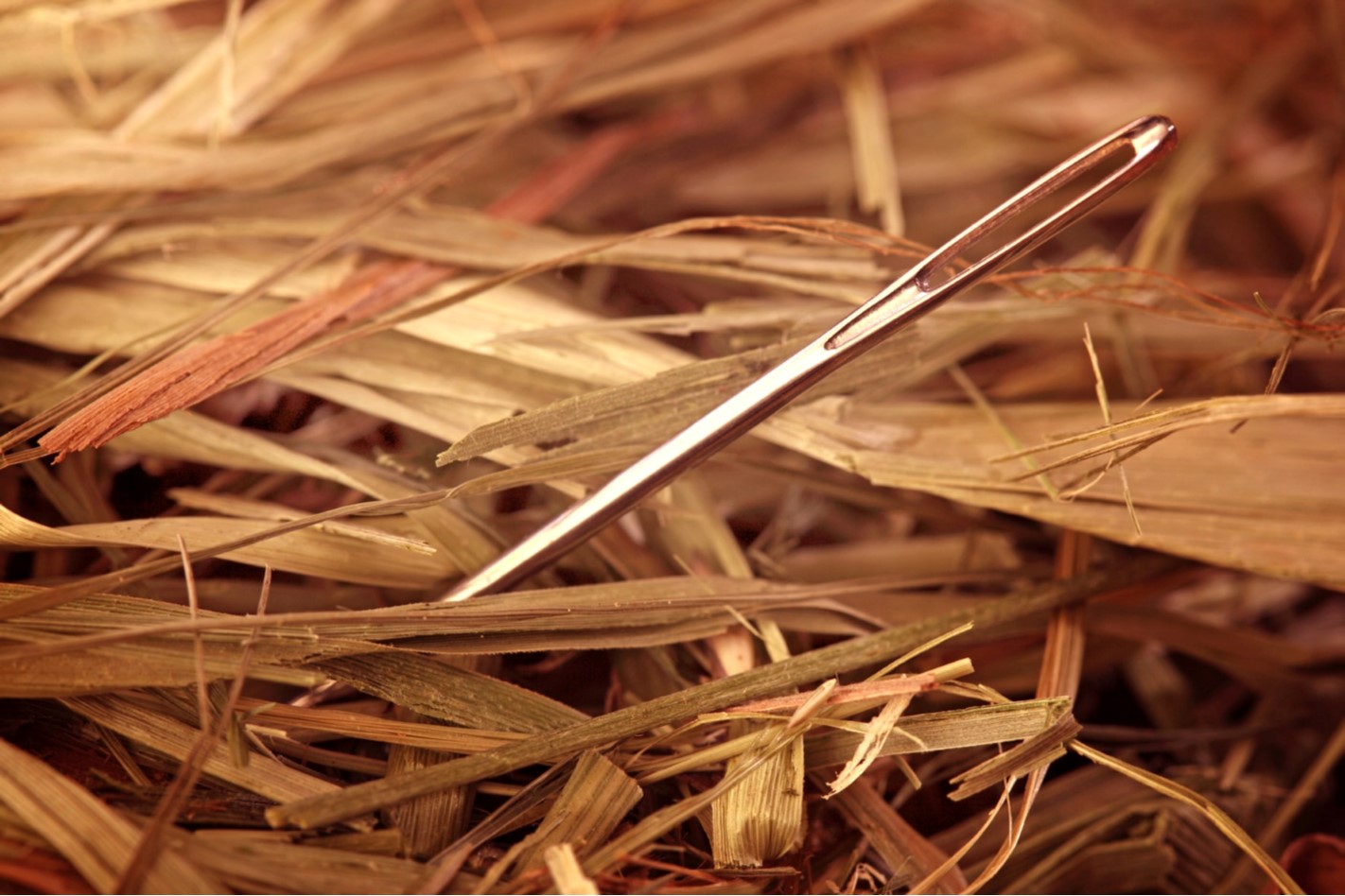 Gli animalisti, l’ago e il pagliaio