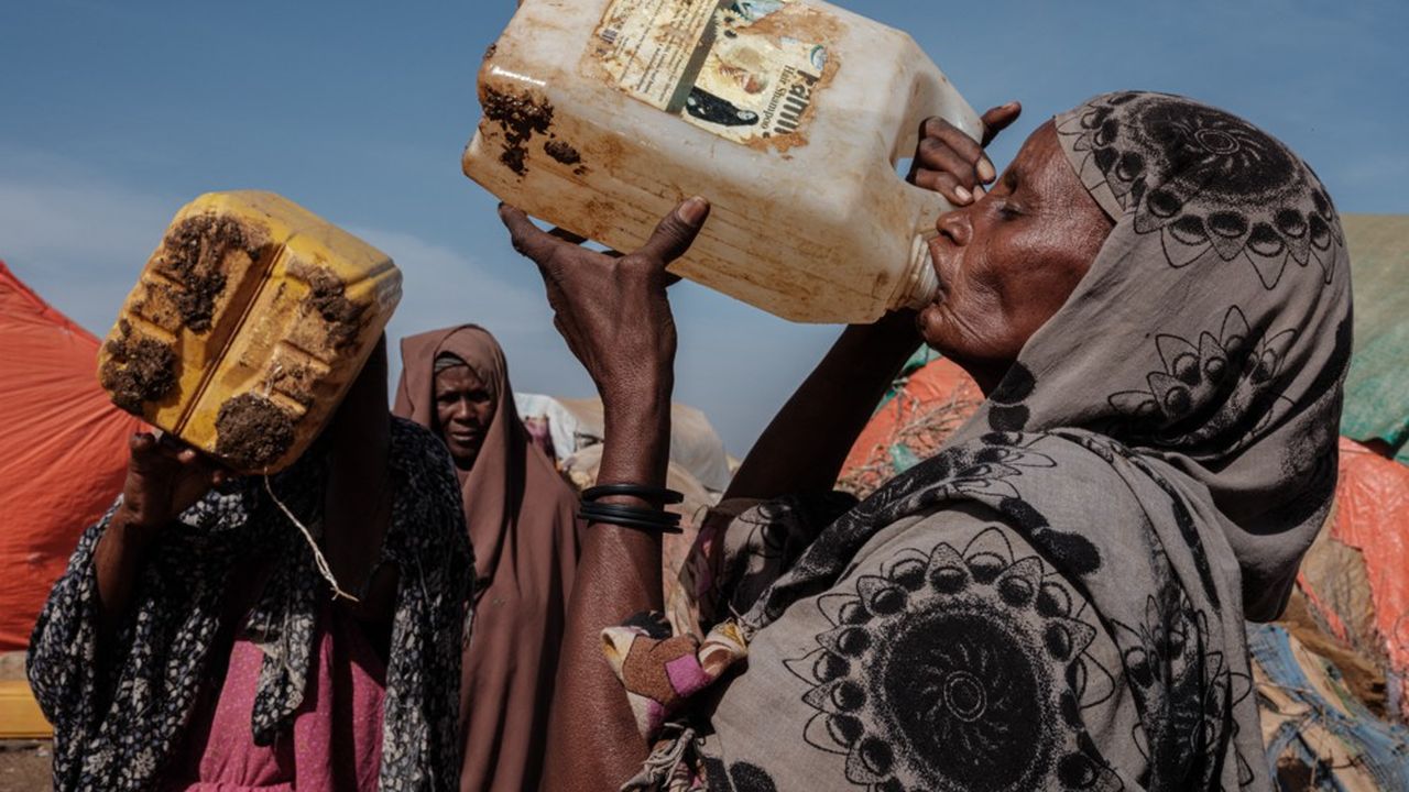 Dramma in Somalia: Al-Shabaab, carestia e carenza di informazioni