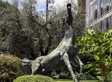 La moltiplicazione dei giornalisti Rai