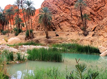 Le oasi del Marocco e la tutela del patrimonio liquido