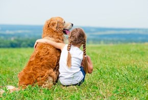 “Il Vocabolario della Felicità”: pillole di emozioni (Video)