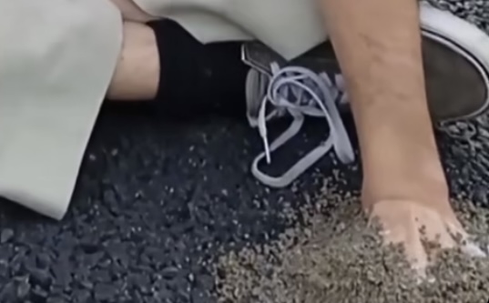 Ultima generazione: a volte ritornano