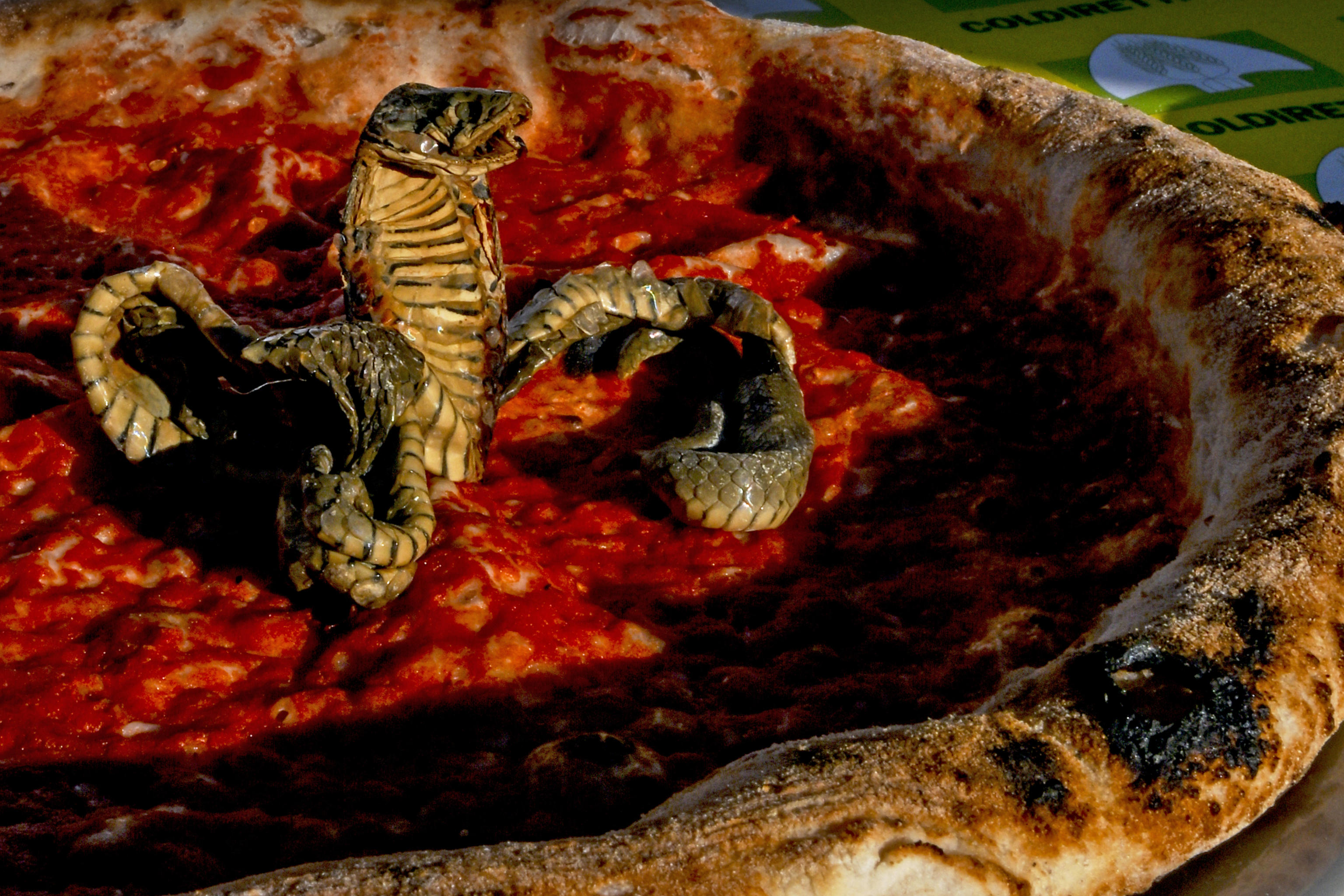 Ritratti. La Pizzeria degli orrori