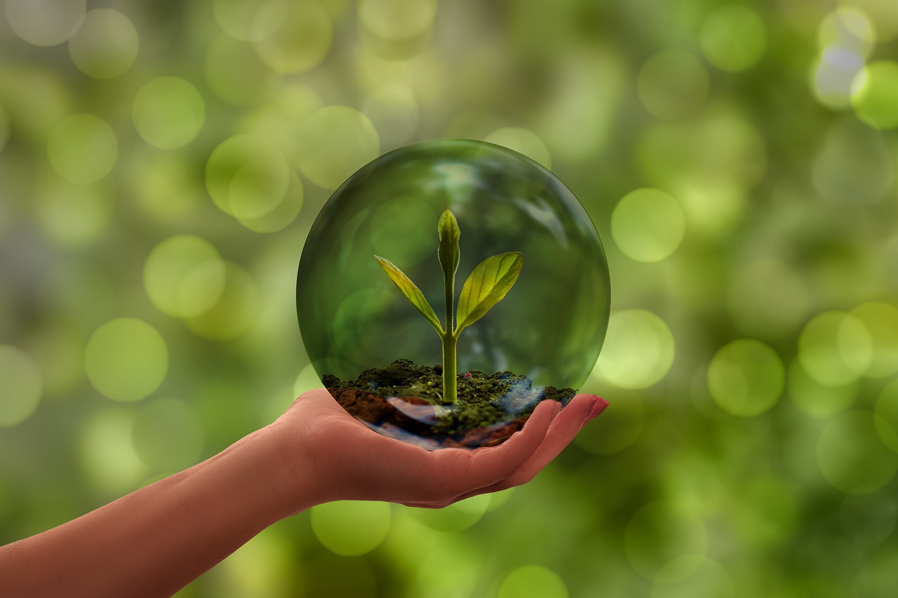 Il nemico dell’ambiente: l’interventismo politico-burocratico