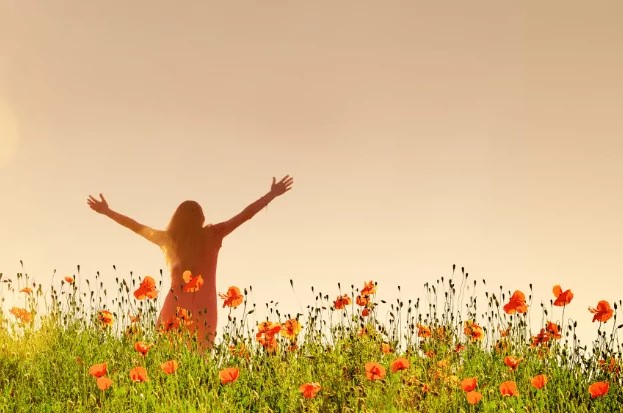 “Il Vocabolario della Felicità”: pillole di emozioni (Video)