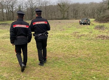 Sbranato e ucciso da tre rottweiler: orrore alle porte di Roma