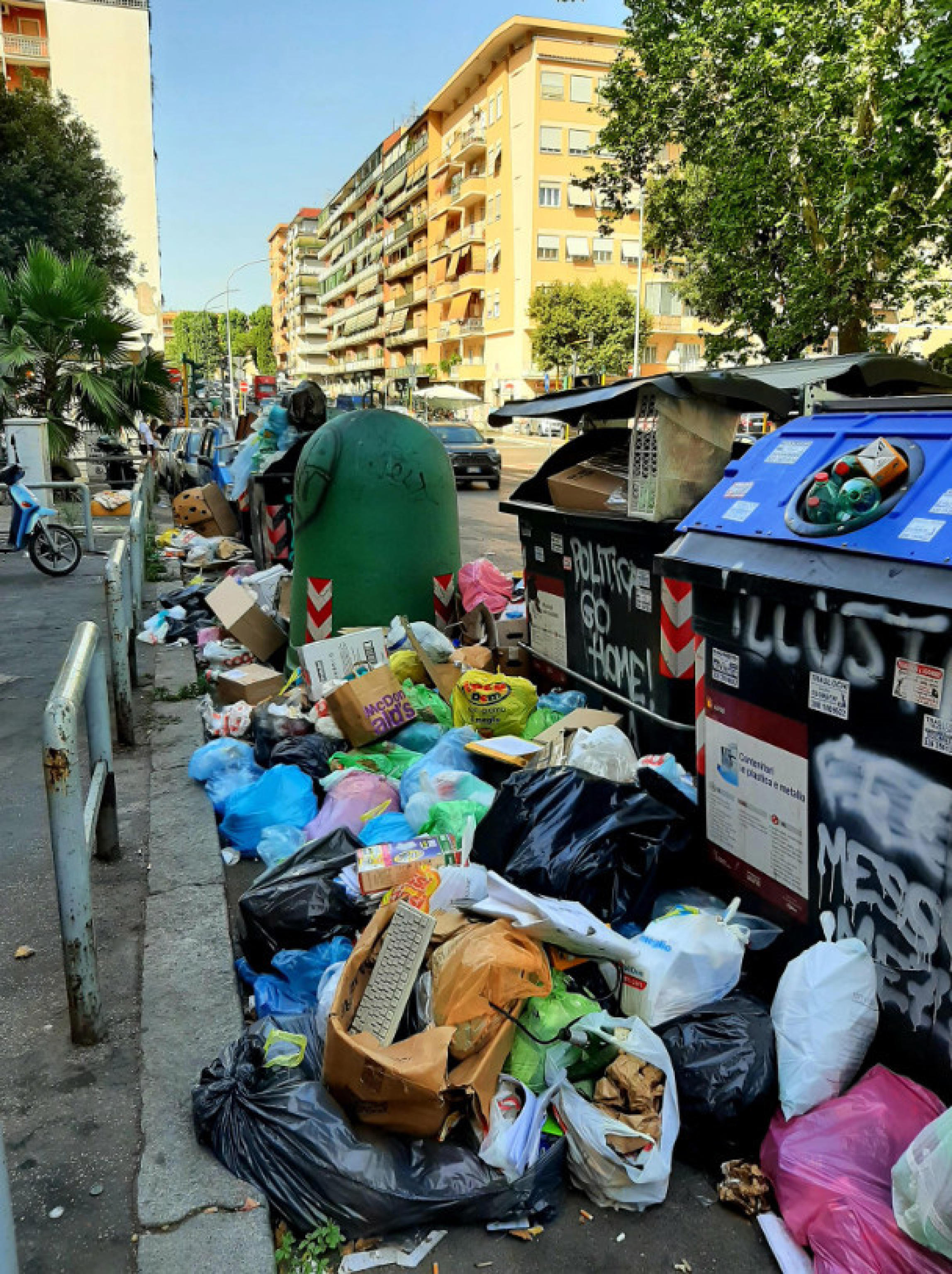 Pochi ispettori ambientali: a Roma la battaglia agli “zozzoni” è in salita