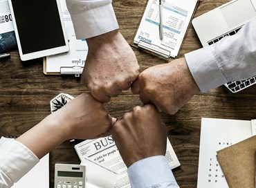 La srls, una riforma con pochi vantaggi