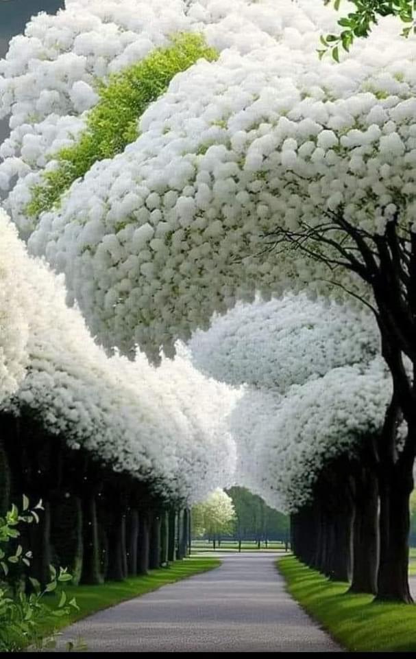 L’analfabetismo iconografico