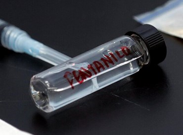 “Droga degli zombie”: il piano del Governo contro il fentanyl