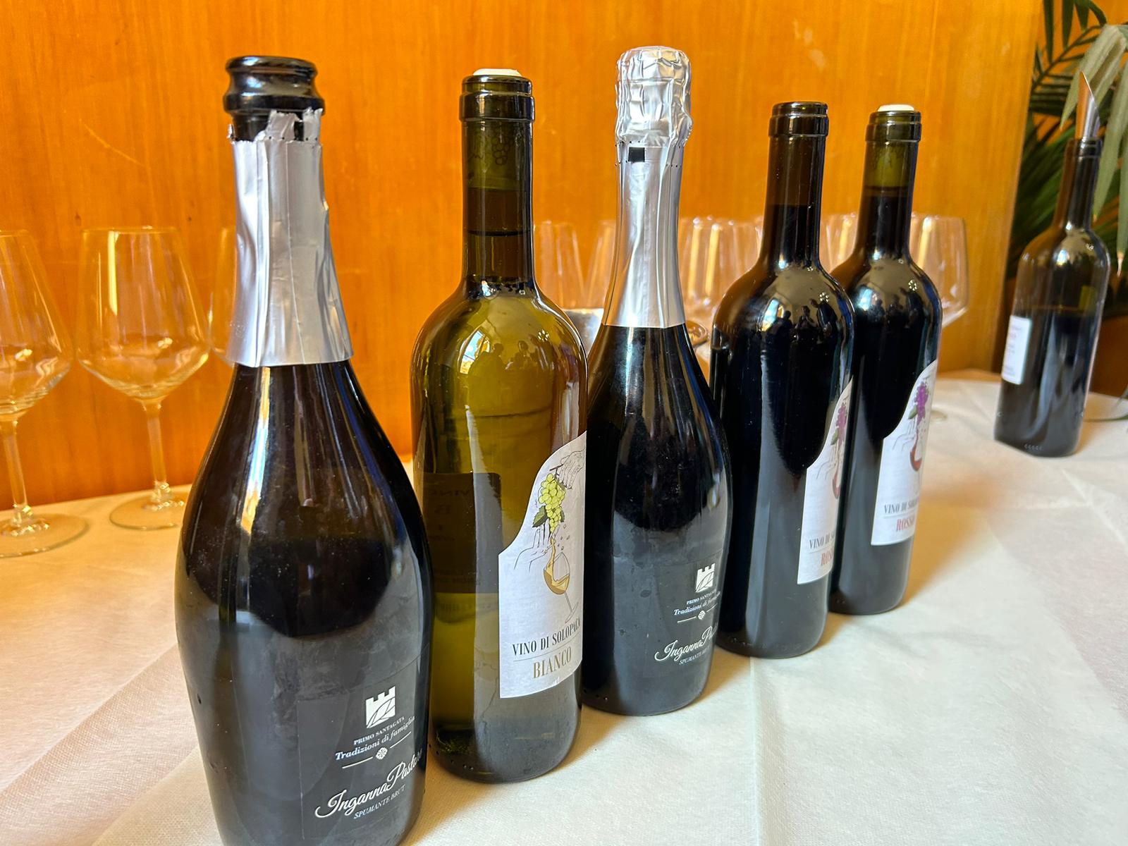 La riscoperta delle uve rare del casertano: un progetto di valorizzazione