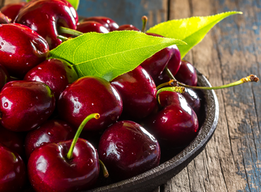 Taccuino Liberale #1