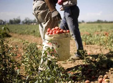 La sinistra chiede discriminazione lavorativa e patrimoniale