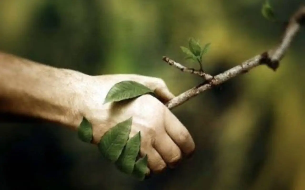 L’uomo e il rapporto con la natura