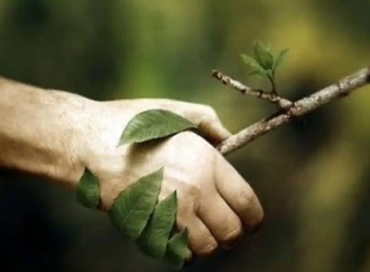 L’uomo e il rapporto con la natura