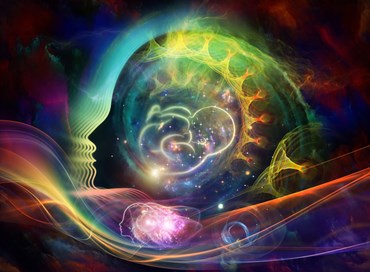 La metamorfosi del cervello in gravidanza