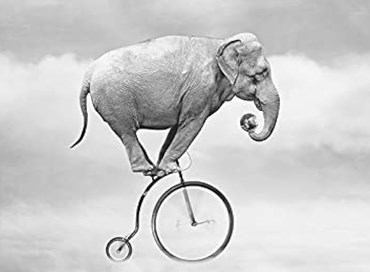 Taccuino Liberale #7