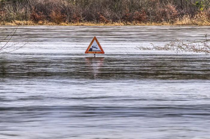 Taccuino Liberale #8